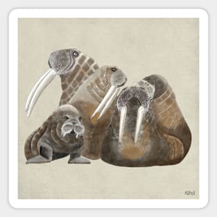 Walrus Family by Kate VanFloof Magnet